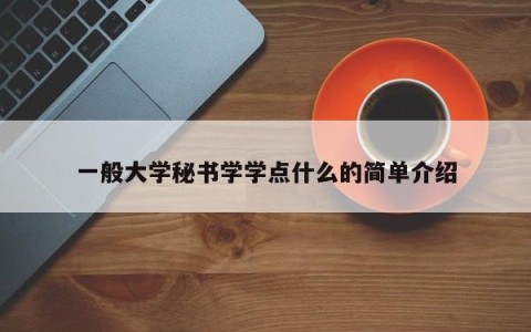 一般大学秘书学学点什么的简单介绍
