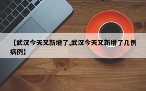 【武汉今天又新增了,武汉今天又新增了几例病例】
