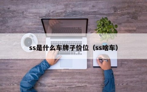 ss是什么车牌子价位（ss啥车）