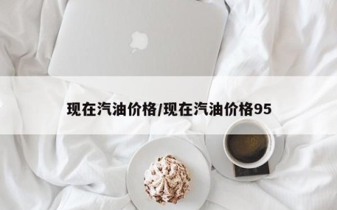 现在汽油价格/现在汽油价格95